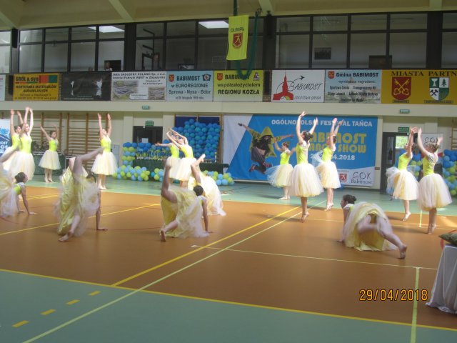 turta 433